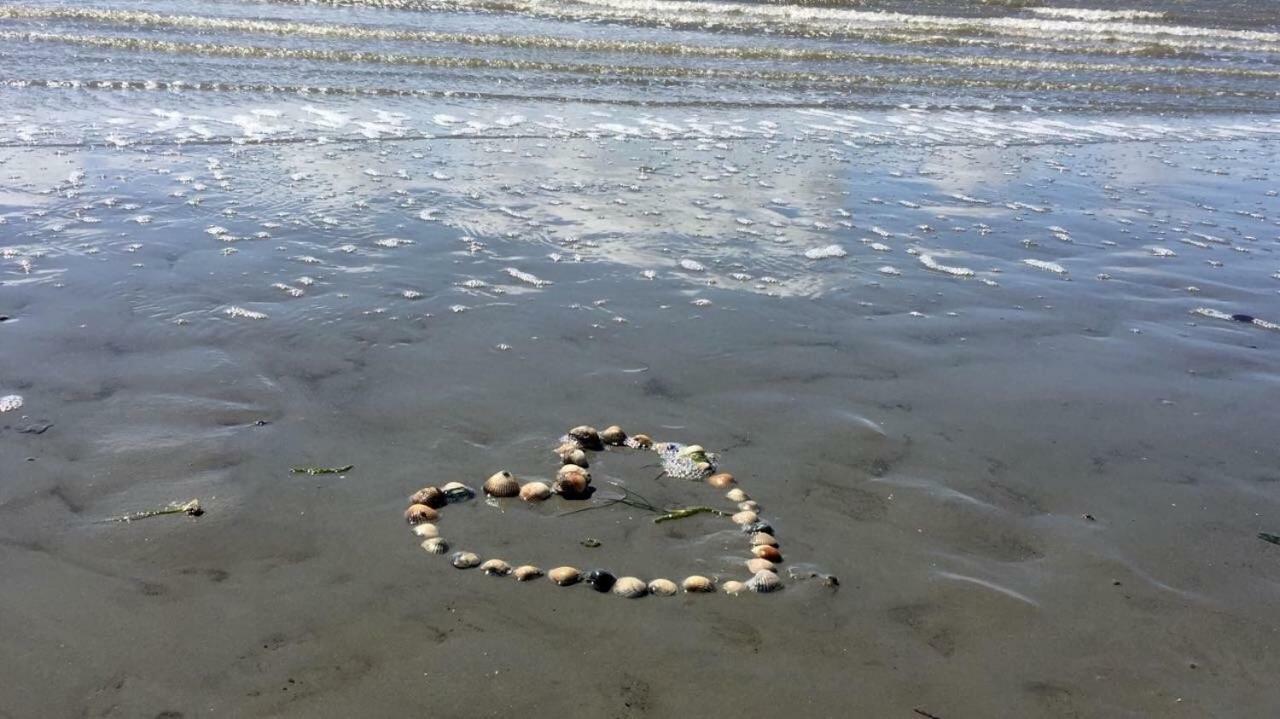 Strandhaus Kleine Perle Büsum Dış mekan fotoğraf